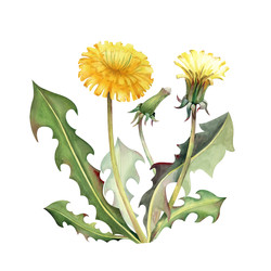 Similar image 22374092