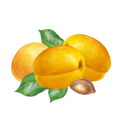 Similar image 22374108