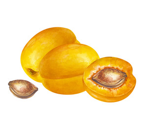 Similar image 22374109