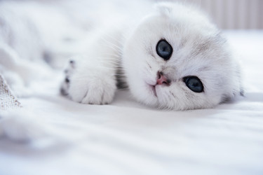 Similar image 22351185