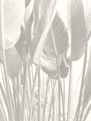 Similar image 22351203