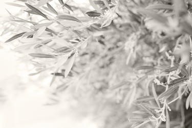 Similar image 22351204