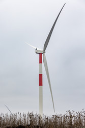 Similar image 22348610