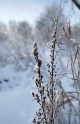 Similar image 22362425