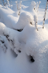 Similar image 22362440