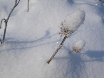 Similar image 22362469