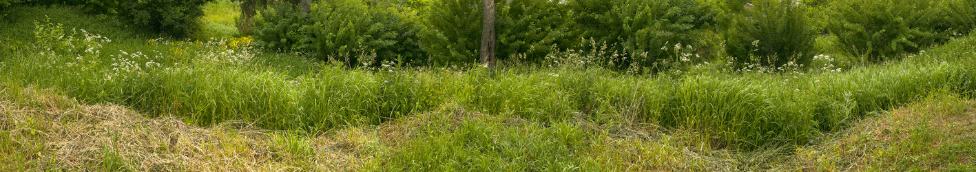 Similar image 22362485