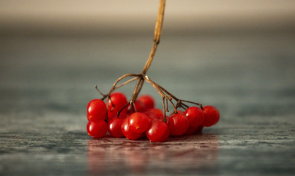 Similar image 22348498