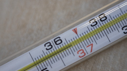 Similar image 22348508