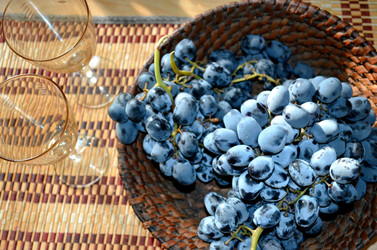 Similar image 22348320