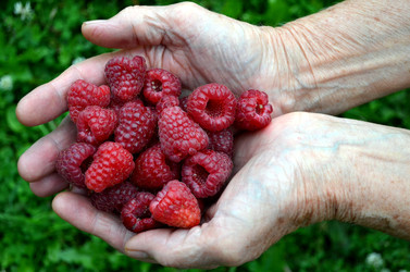 Similar image 22348330