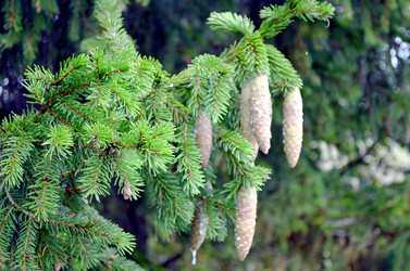 Similar image 22348331