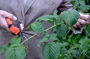 Similar image 22348334