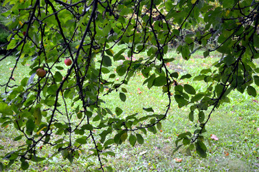 Similar image 22348336