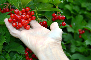 Similar image 22348337