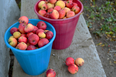 Similar image 22348338