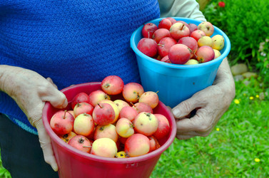 Similar image 22348339