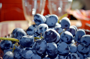 Similar image 22348340