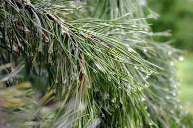 Similar image 22348342