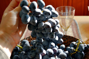 Similar image 22348345