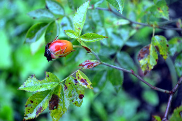 Similar image 22348346