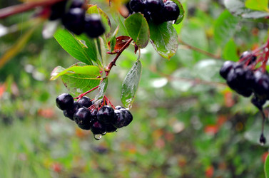 Similar image 22348349