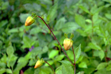 Similar image 22348350