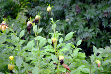 Similar image 22348351