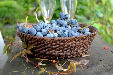 Similar image 22348352