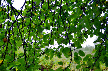 Similar image 22348353