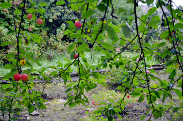 Similar image 22348357