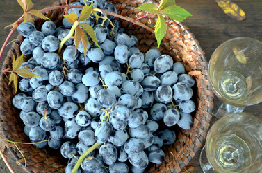 Similar image 22348358