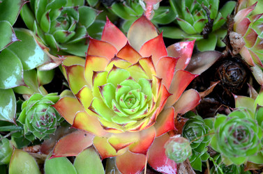 Similar image 22348360