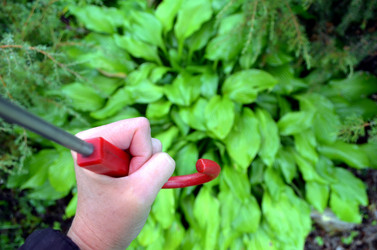 Similar image 22348361