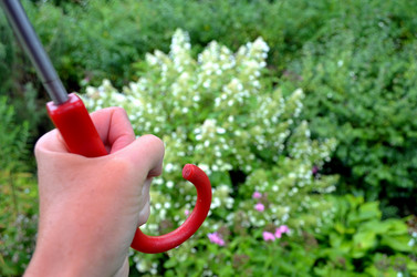 Similar image 22348363