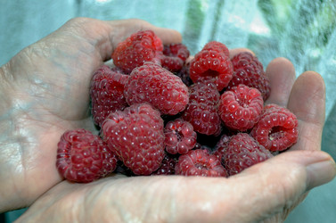 Similar image 22348366