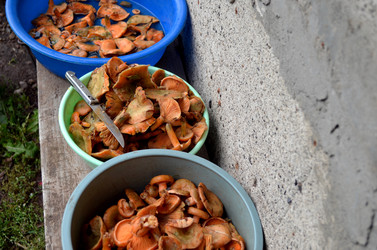 Similar image 22348367