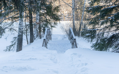 Similar image 22348653