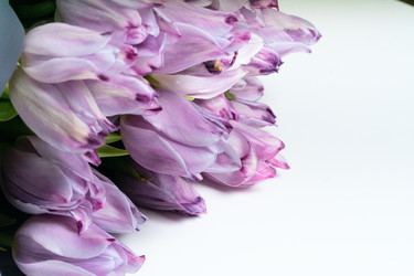 Similar image 22350830