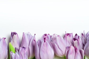 Similar image 22350833