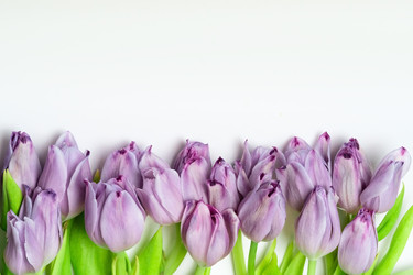 Similar image 22350834