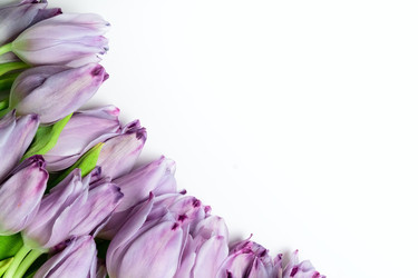 Similar image 22350835