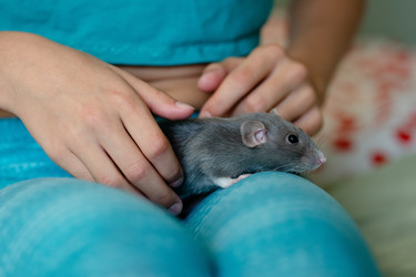 Similar image 22350843