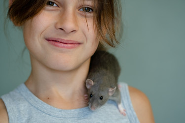 Similar image 22350845