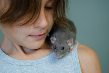 Similar image 22350846