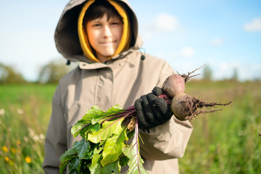 Similar image 22351775