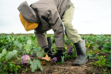 Similar image 22351778