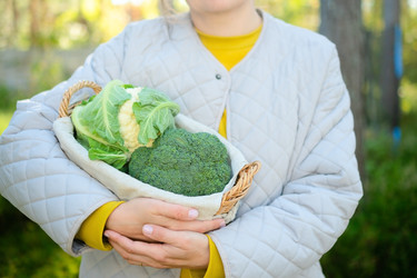 Similar image 22351784