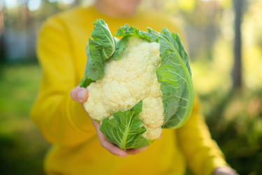 Similar image 22351785