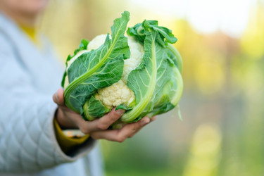 Similar image 22351787